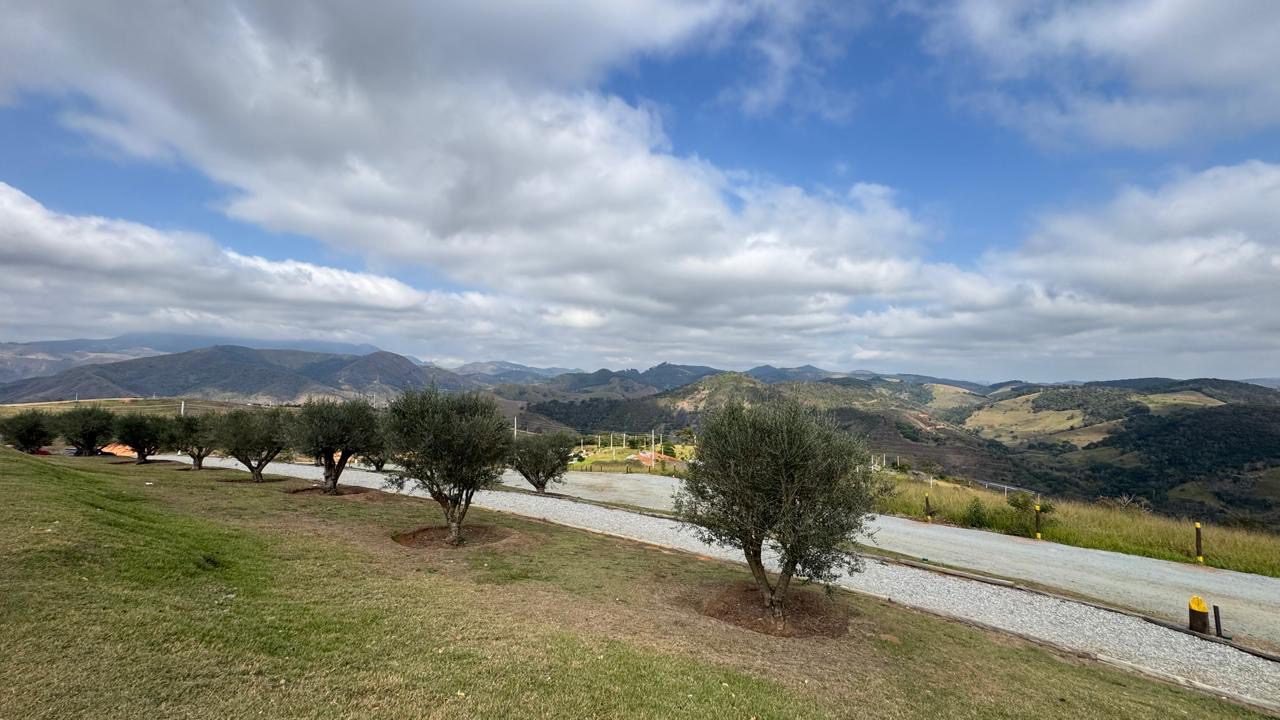 oliveiras no condomínio borgo del vino